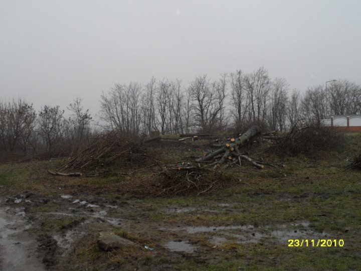 Plac budowy 2.jpg